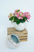 Load image into Gallery viewer, Etta B Ribbed Planter
