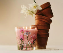 Load image into Gallery viewer, Specialty Himalayan Salt &amp; Rosewater Collection
