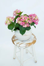 Load image into Gallery viewer, Etta B Ribbed Planter
