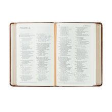 Load image into Gallery viewer, NLT Compact Bible: Aurora Theme
