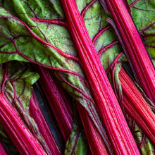 Load image into Gallery viewer, Rhubarb Honey Pura Refill
