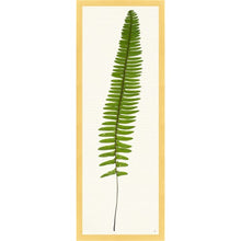 Load image into Gallery viewer, Long Leaf Tropical Prints 38x14
