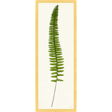 Load image into Gallery viewer, Long Leaf Tropical Prints 38x14
