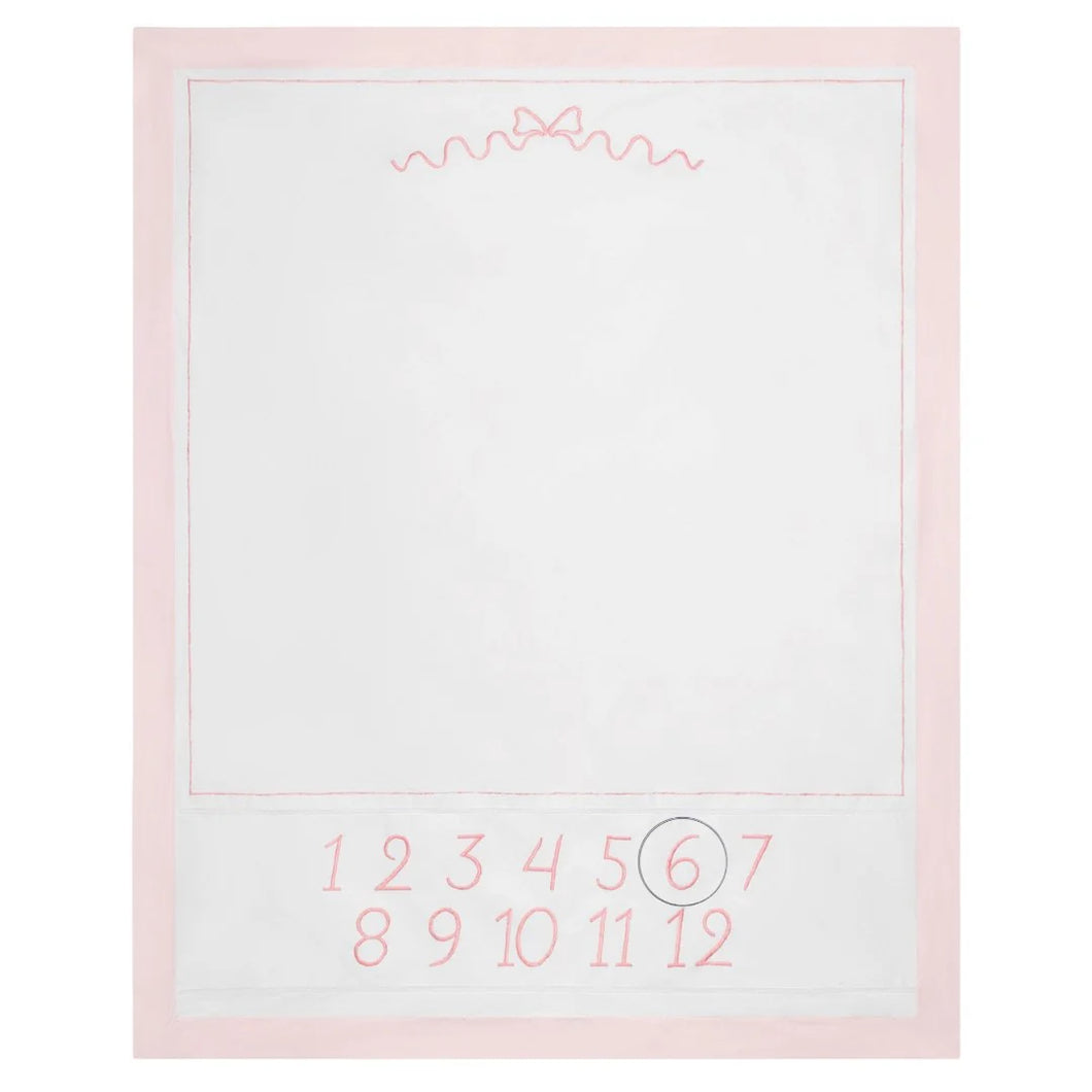 Girls Milestone Blanket