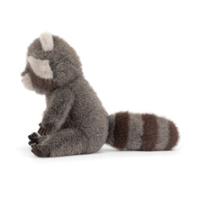 Load image into Gallery viewer, Trixiwoo Raccoon
