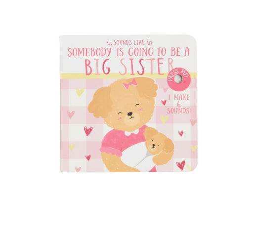 Sound Like Big Sister Book