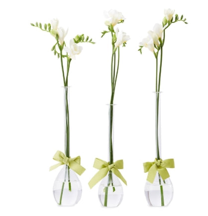Sleek & Chic Tear Drop Vase