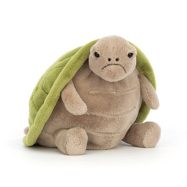 Timmy the Turtle