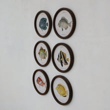 Load image into Gallery viewer, Fish Twisted Framed Glass Wall Décor
