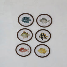 Load image into Gallery viewer, Fish Twisted Framed Glass Wall Décor
