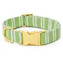 Sprout Stripe Dog Collar