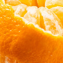 Load image into Gallery viewer, Citrus Crush Pura Refill
