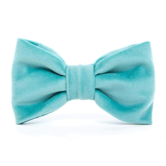 Robin's Egg Velvet Dog Bow Tie