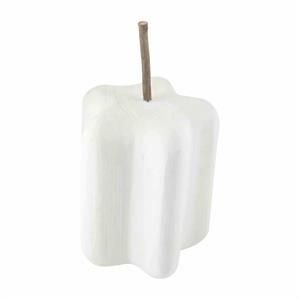 White Paulownia Pumpkins