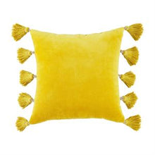 Load image into Gallery viewer, Velvet Tassel Pillows
