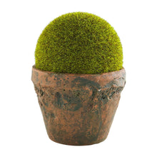 Load image into Gallery viewer, Preserved Moss Pot
