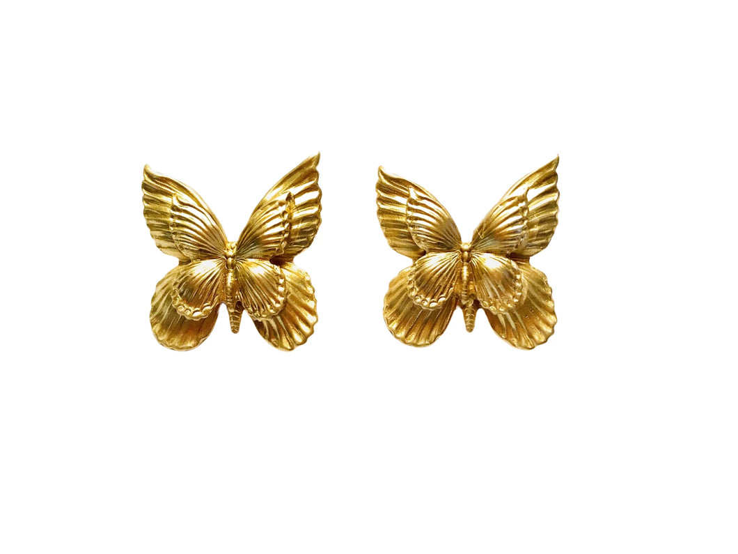 The Pink Reef Butterfly Studs