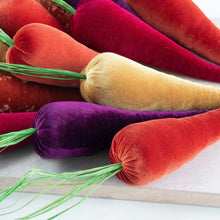 Load image into Gallery viewer, Velvet Carrots
